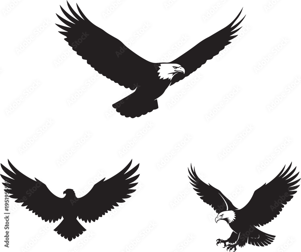 Fototapeta premium Vector silhouette of eagles in flight black silhouettes