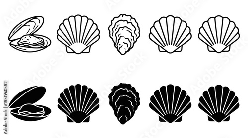 Assortment of Stylized Shell Graphics Line Art and Silhouette Sea Icons for Nautical Themes