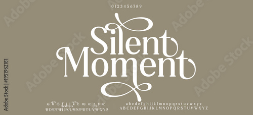 Silent Moment Elegant font alphabet uppercase lowercase and number. Classic lettering minimal fashion designs. Typography modern serif fonts regular decorative vintage concept. Vector illustration