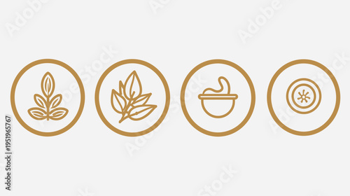 A collection of four simple golden icons on a soft white background. Depicting plants, leaves, and ingredients