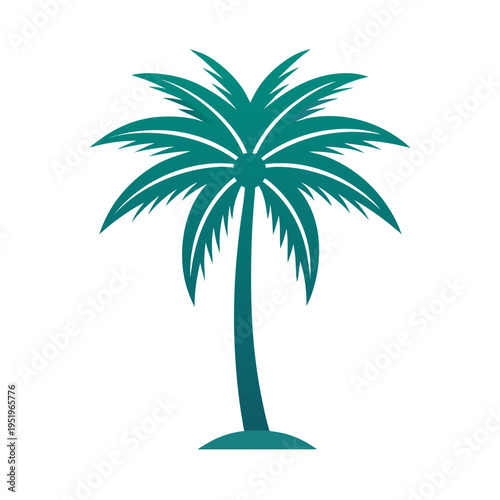 palm tree silhouette