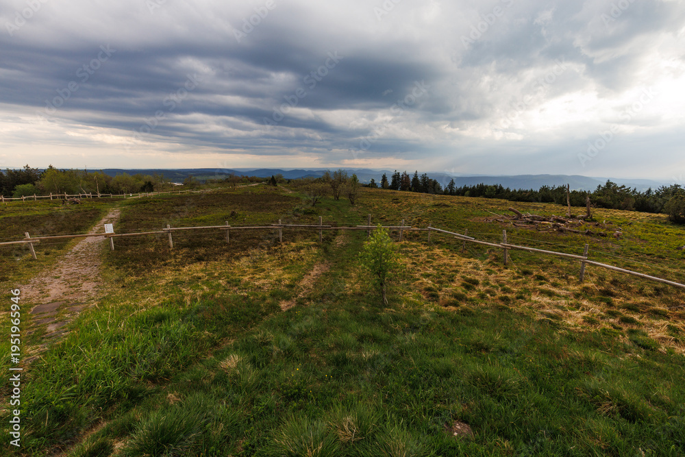 Fototapeta premium landscape panorama view of nationalpark Blackforest schwarzwald with clouds