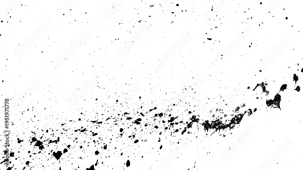 Fototapeta premium Splatter paint black and white