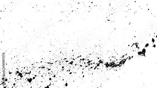 Splatter paint black and white
