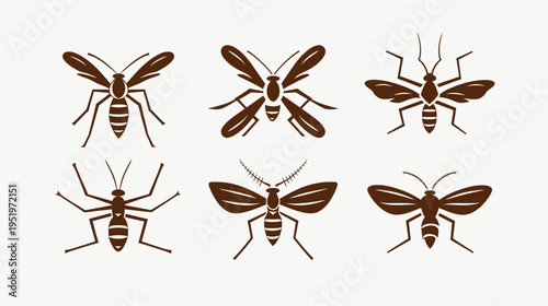 A collection of six stylized insect illustrations, showcasing various forms and details in a brown color