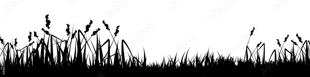 Obraz premium Meadow silhouette with grass, plants on plain. Panoramic summer lawn landscape with herbs, various weeds. Herbal border, frame element. Black horizontal banners. Vector illustration