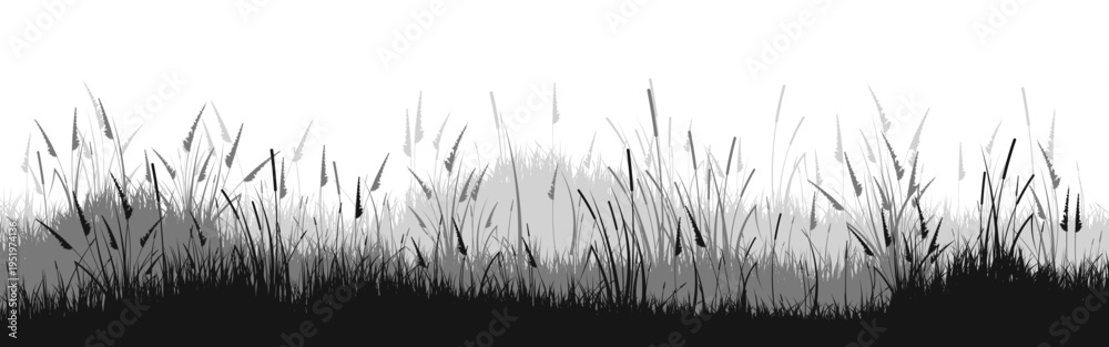 Naklejka premium Meadow silhouette with grass, plants on plain. Panoramic summer lawn landscape with herbs, various weeds. Herbal border, frame element. Black horizontal banners. Vector illustration