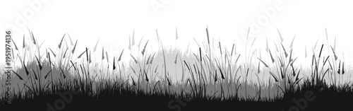 Meadow silhouette with grass, plants on plain. Panoramic summer lawn landscape with herbs, various weeds. Herbal border, frame element. Black horizontal banners. Vector illustration