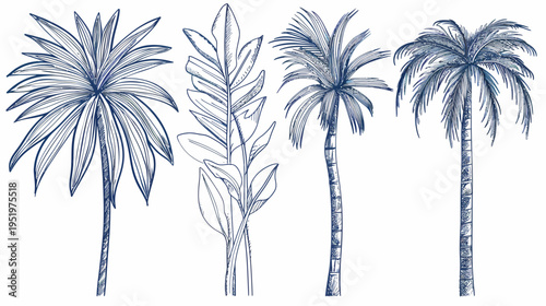 Illustration of four stylized tropical plants, a palm tree and exotic leaves, in blue