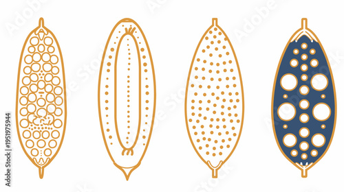 Four abstract seed pod designs on a white background, detailed with circles and dots