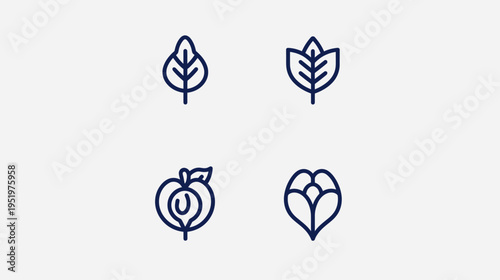 Four simplistic icons of plants and a fruit, rendered in fine, dark blue lines