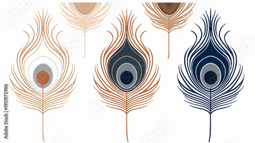 Assorted peacock feather illustrations in a variety of hues on a plain white backdrop