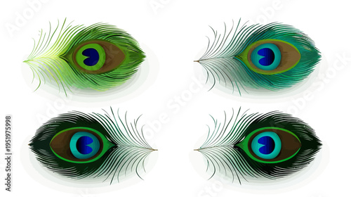 Four stylized peacock feathers with intricate details isolated on a white background