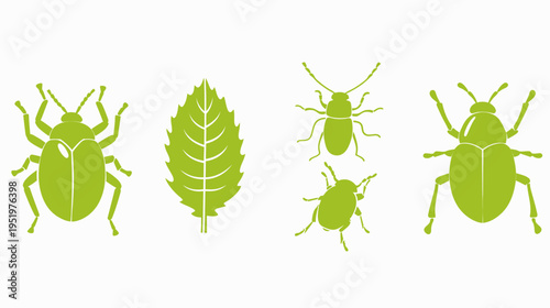 Green bug silhouettes with a leaf silhouette on a white background, vector design