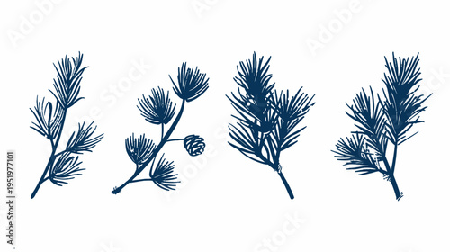 Stylized pine branch illustration, deep blue sketch against a white background