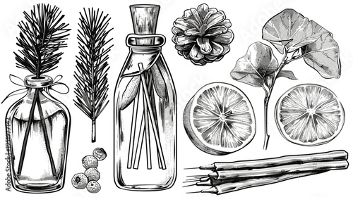 Still life of pine, bottle, lemon slices, cinnamon, and leaves, in grayscale with sketch line art