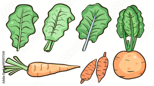 Cartoon illustration of fresh vegetables leafy greens, carrots, and a turnip