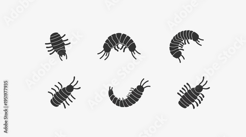 Silhouetted invertebrates