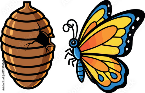 A colorful butterfly emerging from a cocoon on transparent background