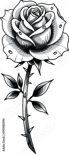 A detailed black and white drawing of a single rose on transparent background