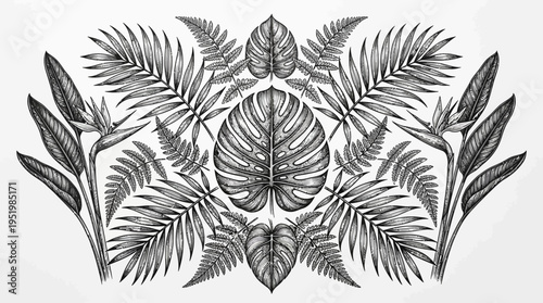 Tropical palm leaves illustration design element.