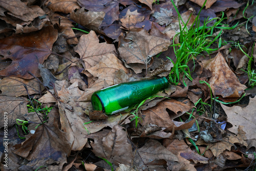 A discarded empty green beer bottle on autumn leaves littering