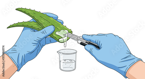 Gloved hands cut an aloe vera leaf with a razor blade, collecting the dripping gel into a glass beaker on a white background.