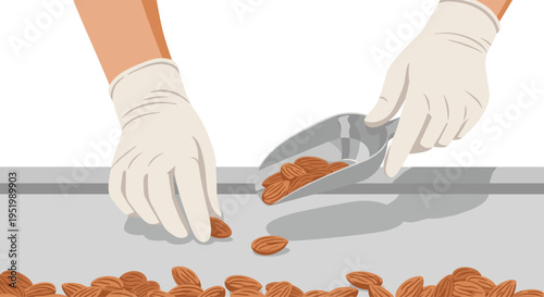Two gloved hands are sorting and scooping numerous brown almonds on a light gray countertop against a plain white background.