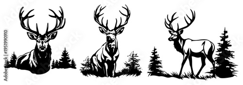 Deer Stag Silhouette in Forest Landscape Collection, Wildlife Animal Buck with Antlers and Pine Trees Vector Illustration