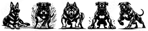 Powerful Guard Dog Breeds Vector Set, Muscular German Shepherd Rottweiler and Pitbull Animal Illustrations