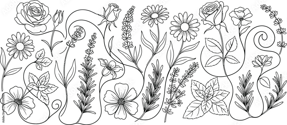 Fototapeta premium Intricate floral pattern with various flowers and stems