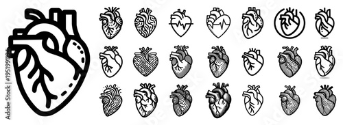 Human Heart Anatomical Icon Set, Medical Cardiology Symbols and Healthcare Pulse Vector Illustration