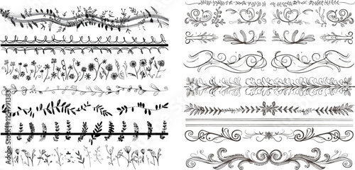 Hand Drawn Vector Dividers