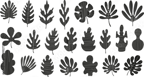 Collection of various cactus and succulent silhouettes