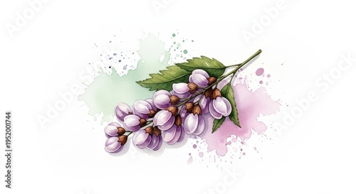 Lilac blossom with soft watercolor splashes in pastel colors  