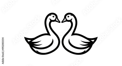 Elegant Swan Pair - A Symbol of Love and Grace.