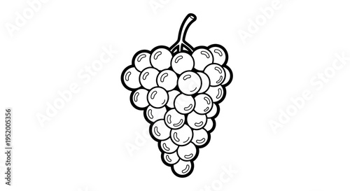 Black and white illustration of a bunch of grapes, isolated on white background.