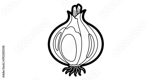 Half cut onion illustration, black and white outline on white background