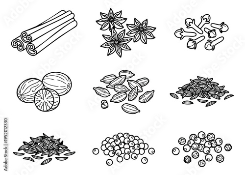 Hand drawn line art spices set featuring cinnamon, star anise, cloves, nutmeg, cardamom, cumin, and peppercorns for food and cooking
