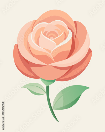 Single pastel apricot colored rose showing tightly furled center petals and adjacent leaves is perfectly centered above a pale cream colored canvas surface for visual appeal.