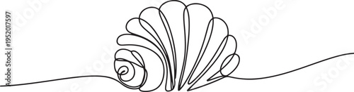 Sea shell continuous one line drawing on white background. one line art icon drawing vector