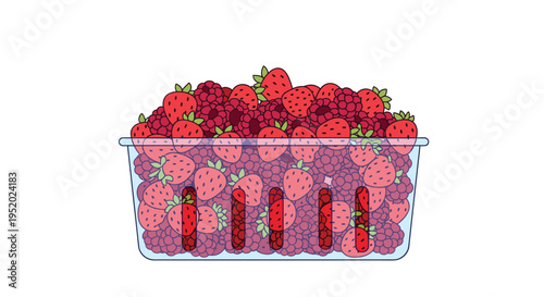 A clear plastic container is filled with a mixture of red strawberries and dark red raspberries on a white background.
