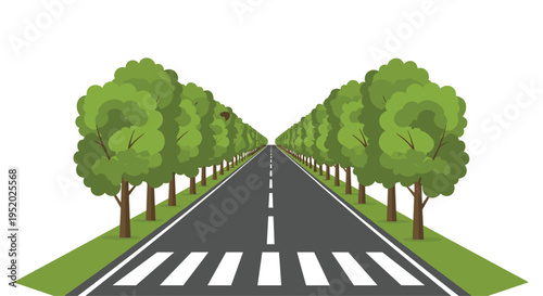 A long, straight, dark grey road with a white dashed line and crosswalk is lined by uniform green trees receding into the distance.