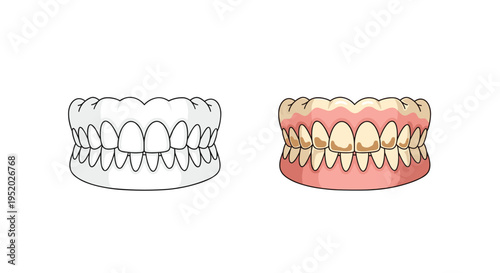 Two sets of dentures are shown side-by-side, one clean white and one with yellowed teeth and pink gums.