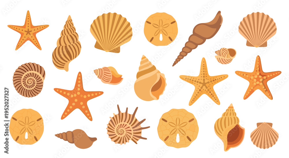 Fototapeta premium Twenty stylized orange and brown seashells, starfish, and sand dollars are scattered on a white background.