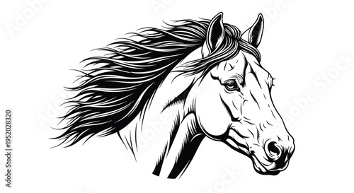 A detailed black and white line art illustration of a horse's head with a flowing mane is depicted on a plain white background.