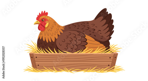A dark brown hen sits in a wooden box filled with straw on a white background.