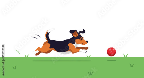 A tricolor dog runs across green grass, chasing a red ball on a white background.