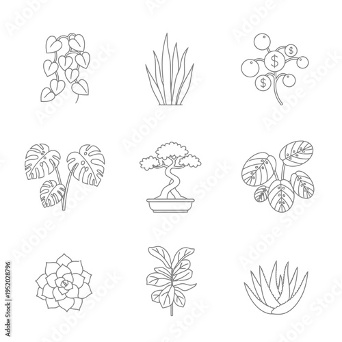 Collection of nine distinct line art illustrations of various houseplants.