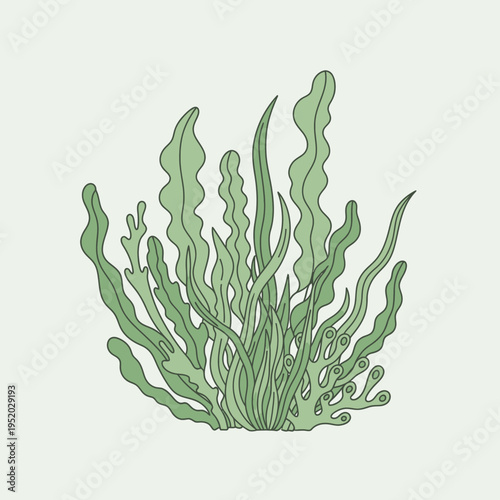 Green Seaweed Plant Illustration, Underwater Flora, Ocean Kelp, Marine Life